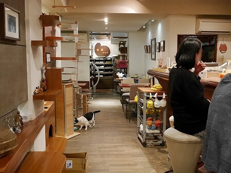 台湾　台北　猫カフェ　ネコ　極簡cafe　極簡咖啡　店内