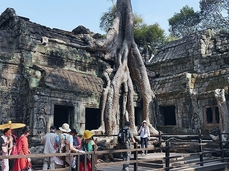 タ・プローム　カンボジア　遺跡