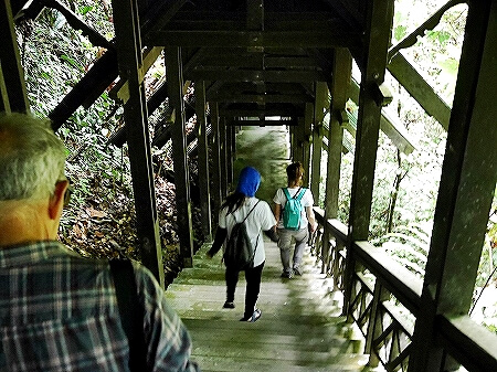 ブルネイ　ウル・テンブロン国立公園　日帰りツアー　ウル・トゥンブロン国立公園、Ulu Temburong National Park　英語ガイド　Freme Travel　フレーミートラベル　旅行記　ブログ　キャノピーウォーク　道　階段