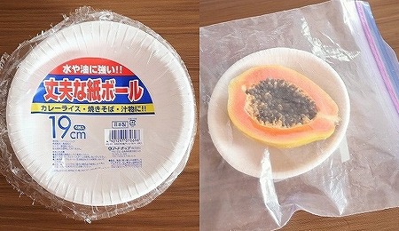 旅先でフルーツを食べる時に便利なアイテム（紙皿とジップロック）