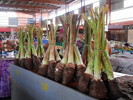 フィジーのラウトカマーケット（Lautoka Market）のタロイモ