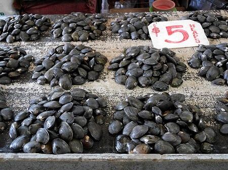 フィジーのラウトカマーケット（Lautoka Market）の淡水ムール貝（kai）