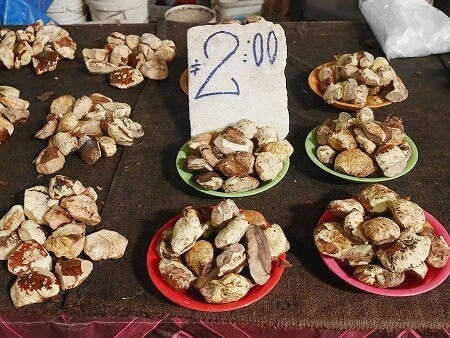 フィジーのラウトカマーケット（Lautoka Market）の栗（ivi、タヒチアンチェスナッツ、タイヘイヨウクルミ）