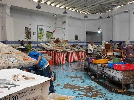 モロッコのサフィの魚市場