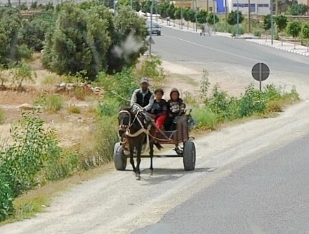 モロッコのバスから見たロバ車（ラバ車、貨物用馬車）