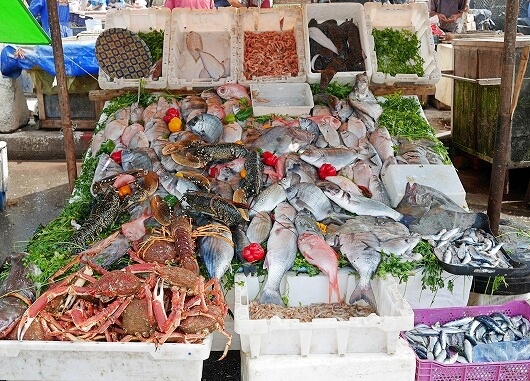 モロッコのエッサウィラ漁港の魚屋の魚やエビやカニ