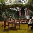 コロンボ「NUGA GAMA」大きなガジュマルの木の下で頂くスリランカ料理ビュッフェ♪（シナモングランドコロンボホテル内レストランレポ③）